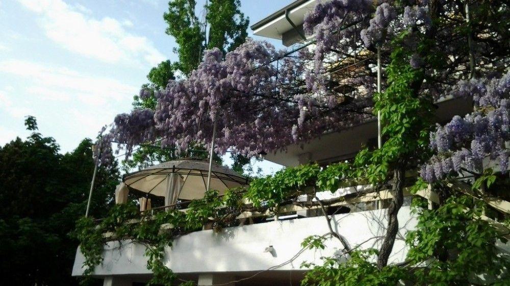 Hotel Ristorante Sole Múggia Exteriör bild